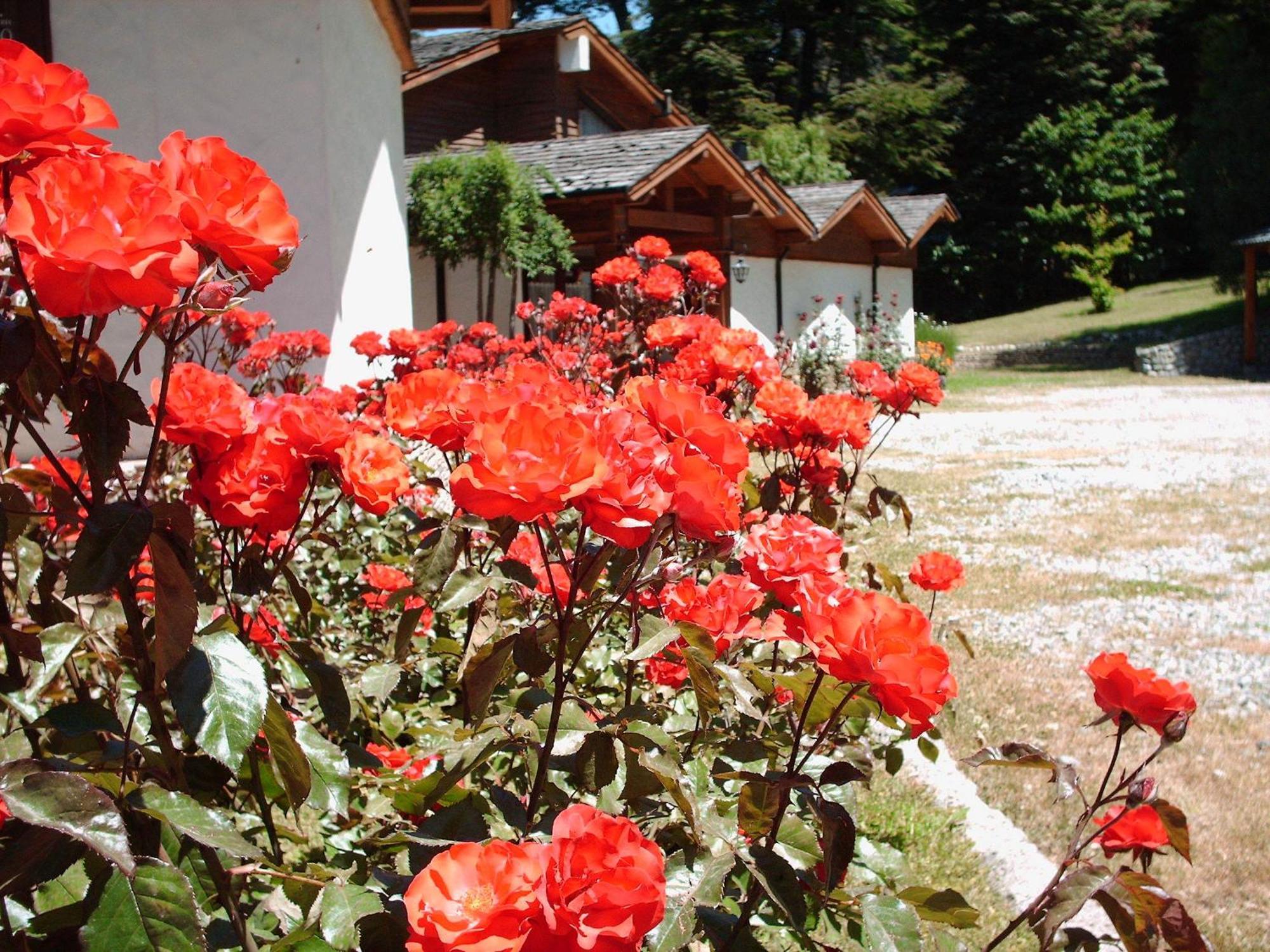 Hosteria El Condado San Carlos de Bariloche Luaran gambar